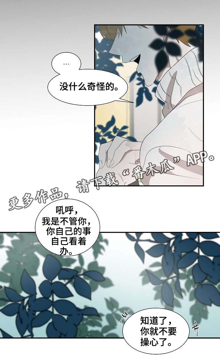 《权位守护》漫画最新章节第32章：新人免费下拉式在线观看章节第【7】张图片