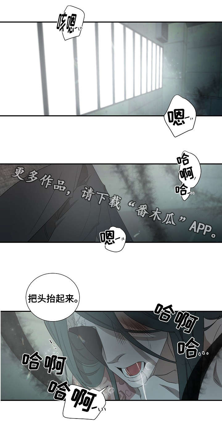 《权位守护》漫画最新章节第32章：新人免费下拉式在线观看章节第【6】张图片