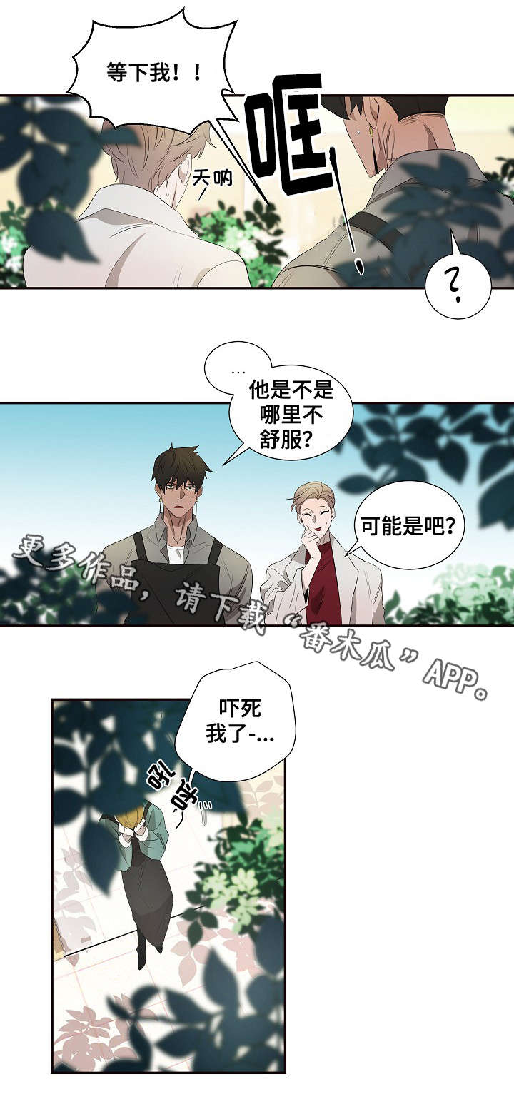 《权位守护》漫画最新章节第34章：脸红免费下拉式在线观看章节第【5】张图片