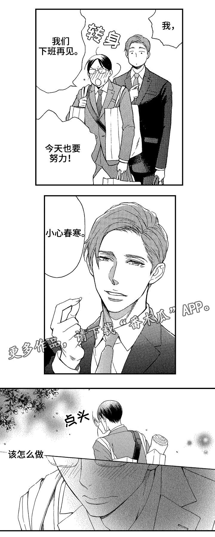 《花落》漫画最新章节第11章：说谎免费下拉式在线观看章节第【11】张图片