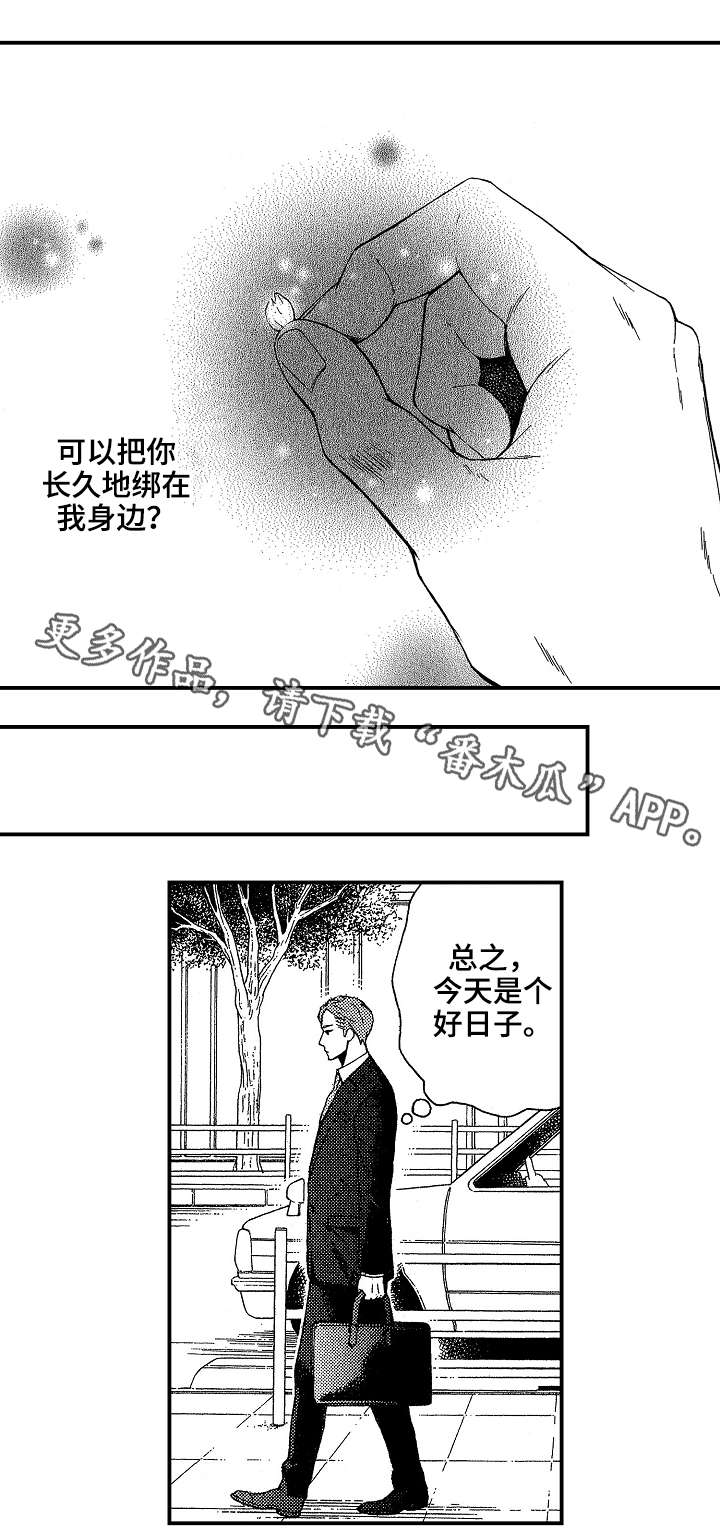 《花落》漫画最新章节第11章：说谎免费下拉式在线观看章节第【10】张图片