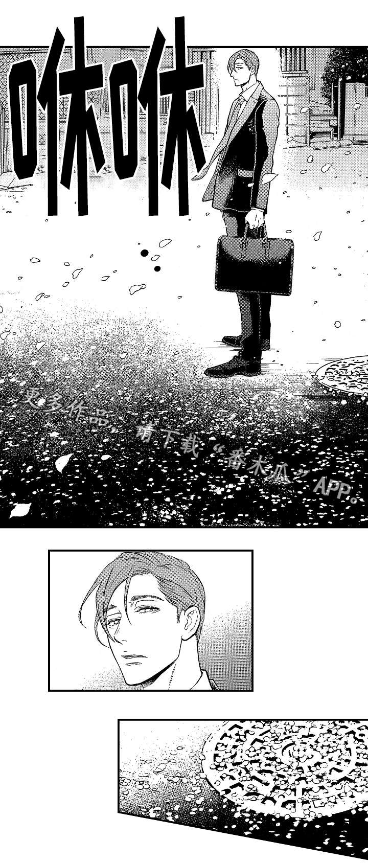 《花落》漫画最新章节第21章：聊一聊免费下拉式在线观看章节第【8】张图片