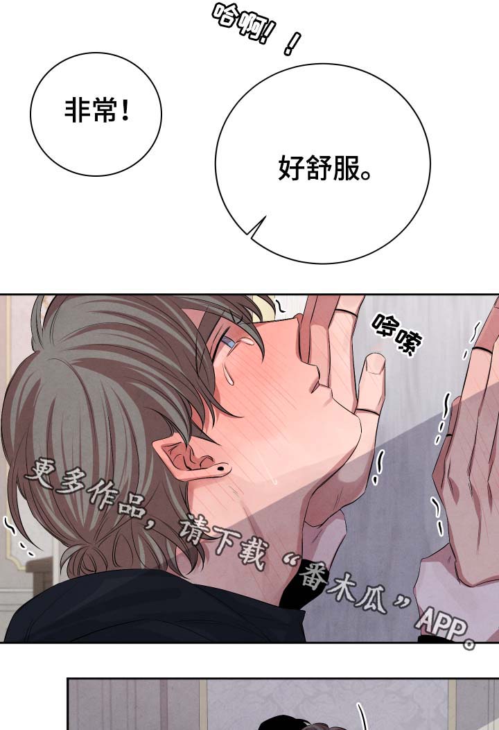 《感官味道》漫画最新章节第37章：不怕受伤免费下拉式在线观看章节第【10】张图片