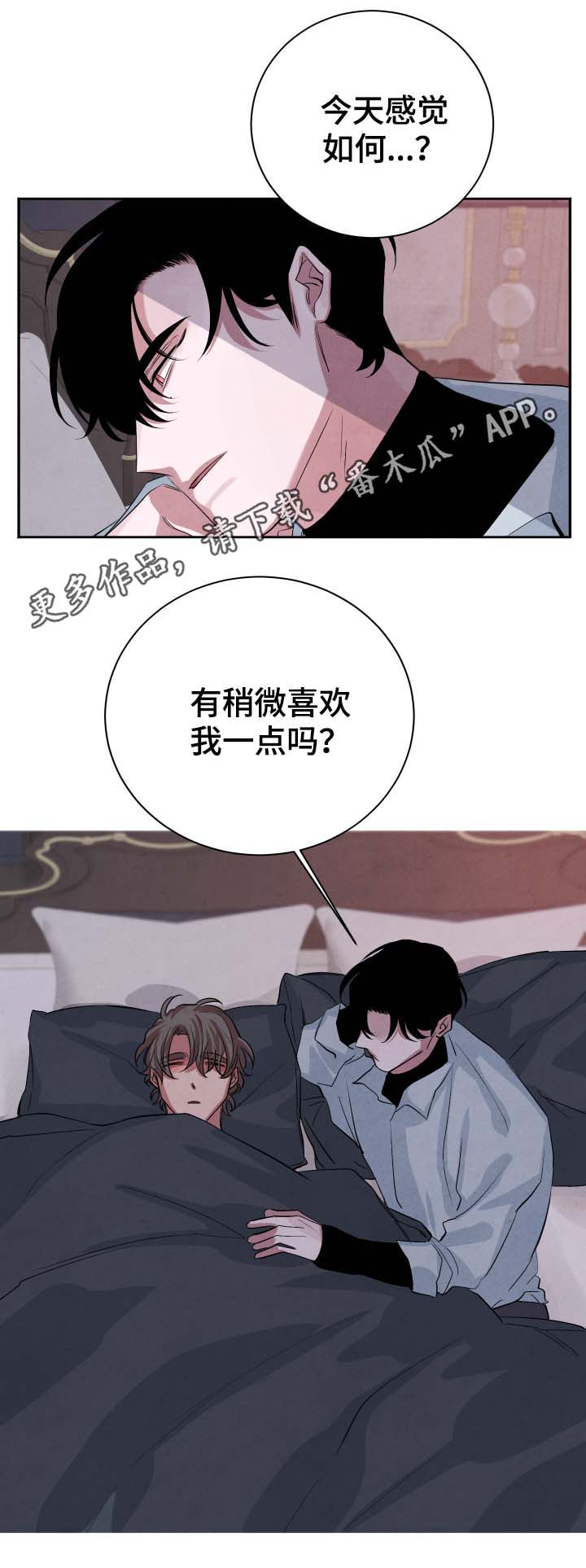 《感官味道》漫画最新章节第37章：不怕受伤免费下拉式在线观看章节第【4】张图片