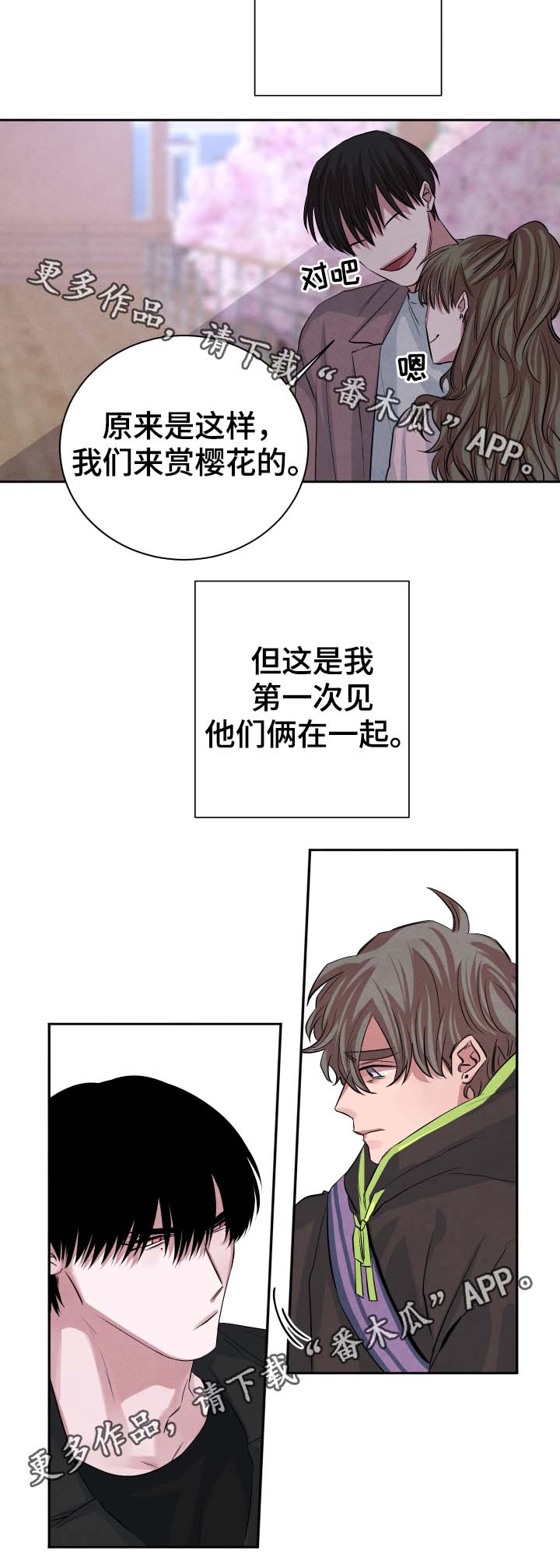 《感官味道》漫画最新章节第39章：樱花免费下拉式在线观看章节第【4】张图片