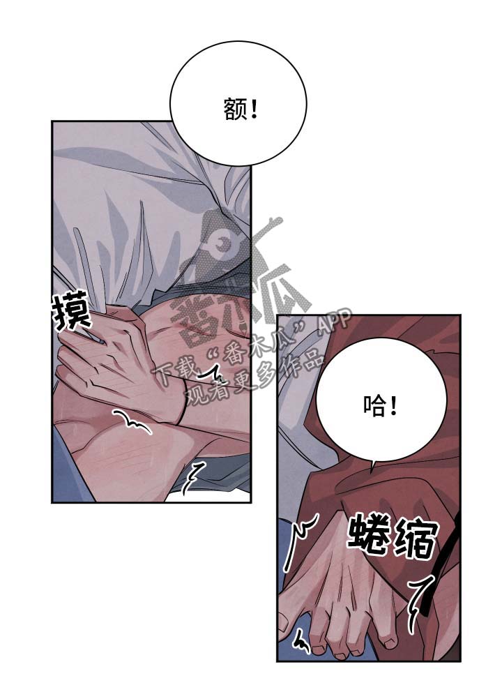 《感官味道》漫画最新章节第56章：不会离开你免费下拉式在线观看章节第【13】张图片