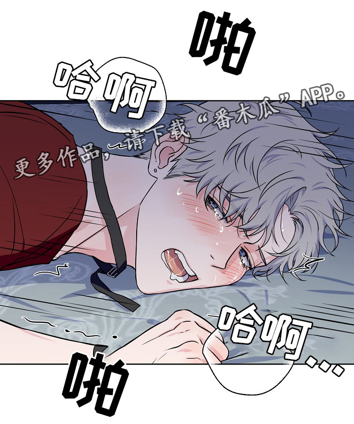 《浪漫练习生》漫画最新章节第41章：我可以免费下拉式在线观看章节第【5】张图片