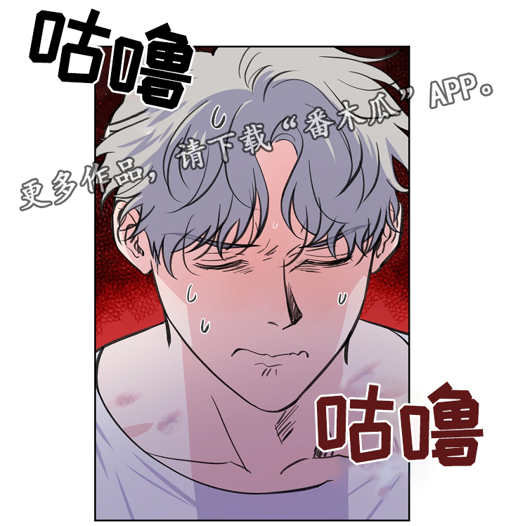 《浪漫练习生》漫画最新章节第42章：新闻免费下拉式在线观看章节第【5】张图片