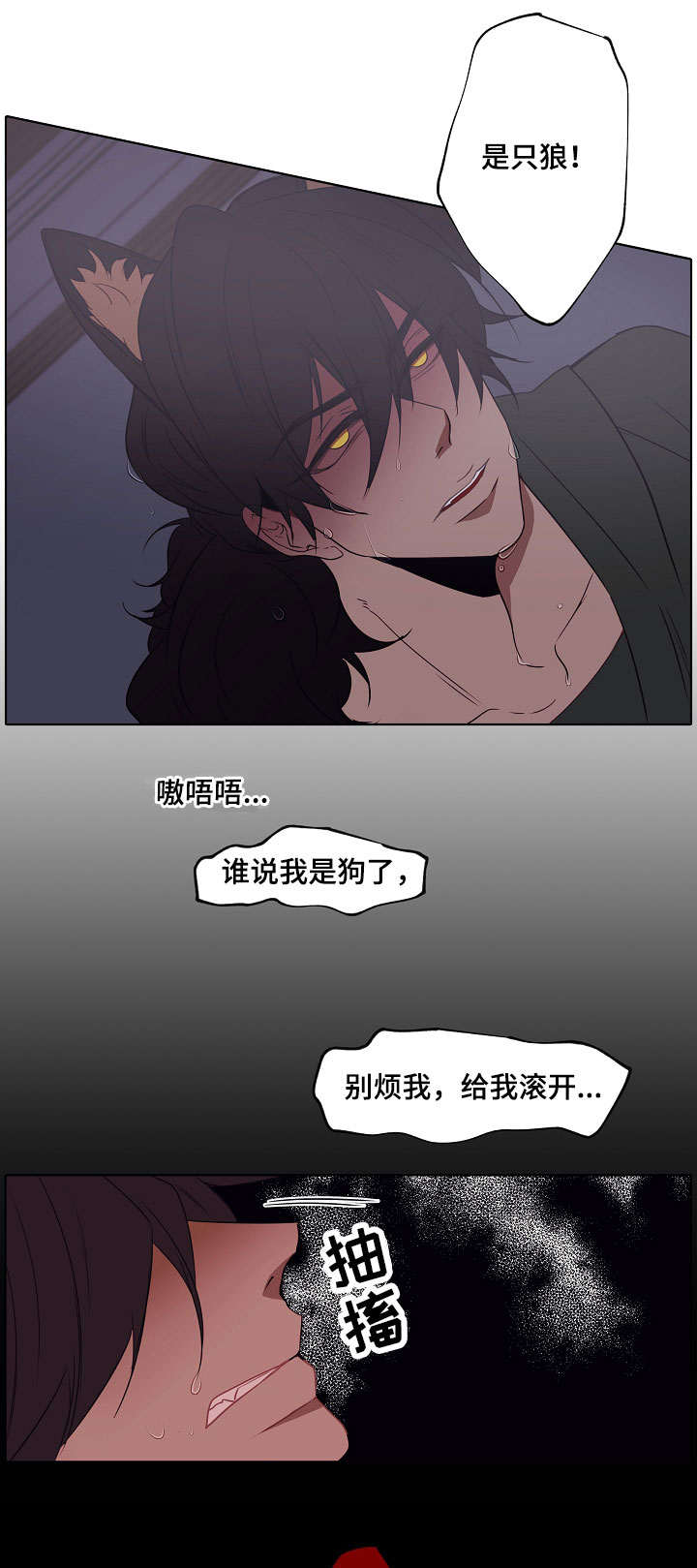 《满月诅咒》漫画最新章节第2章：是只狼免费下拉式在线观看章节第【10】张图片