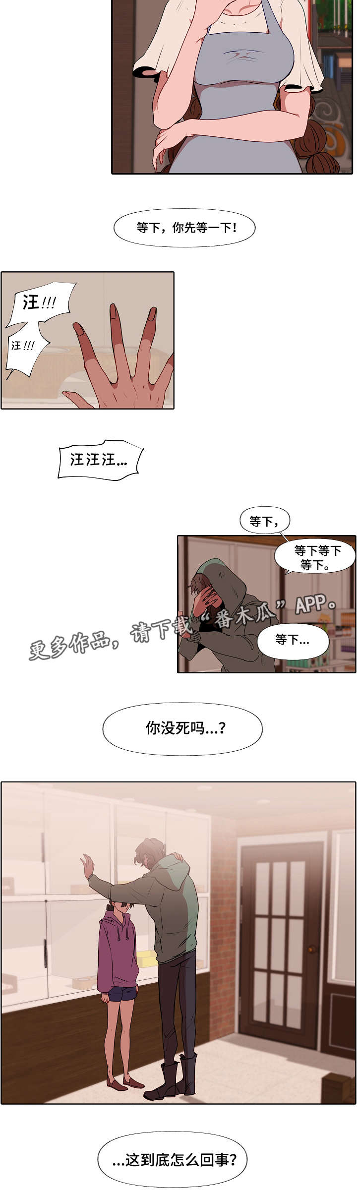 《满月诅咒》漫画最新章节第7章：错觉免费下拉式在线观看章节第【4】张图片