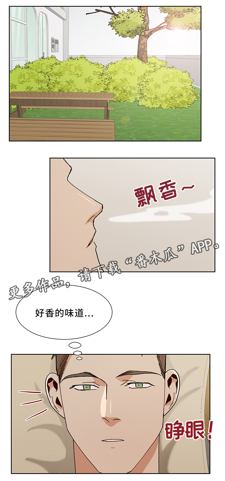 《危机攻略》漫画最新章节第52章：再见啦 哥免费下拉式在线观看章节第【10】张图片