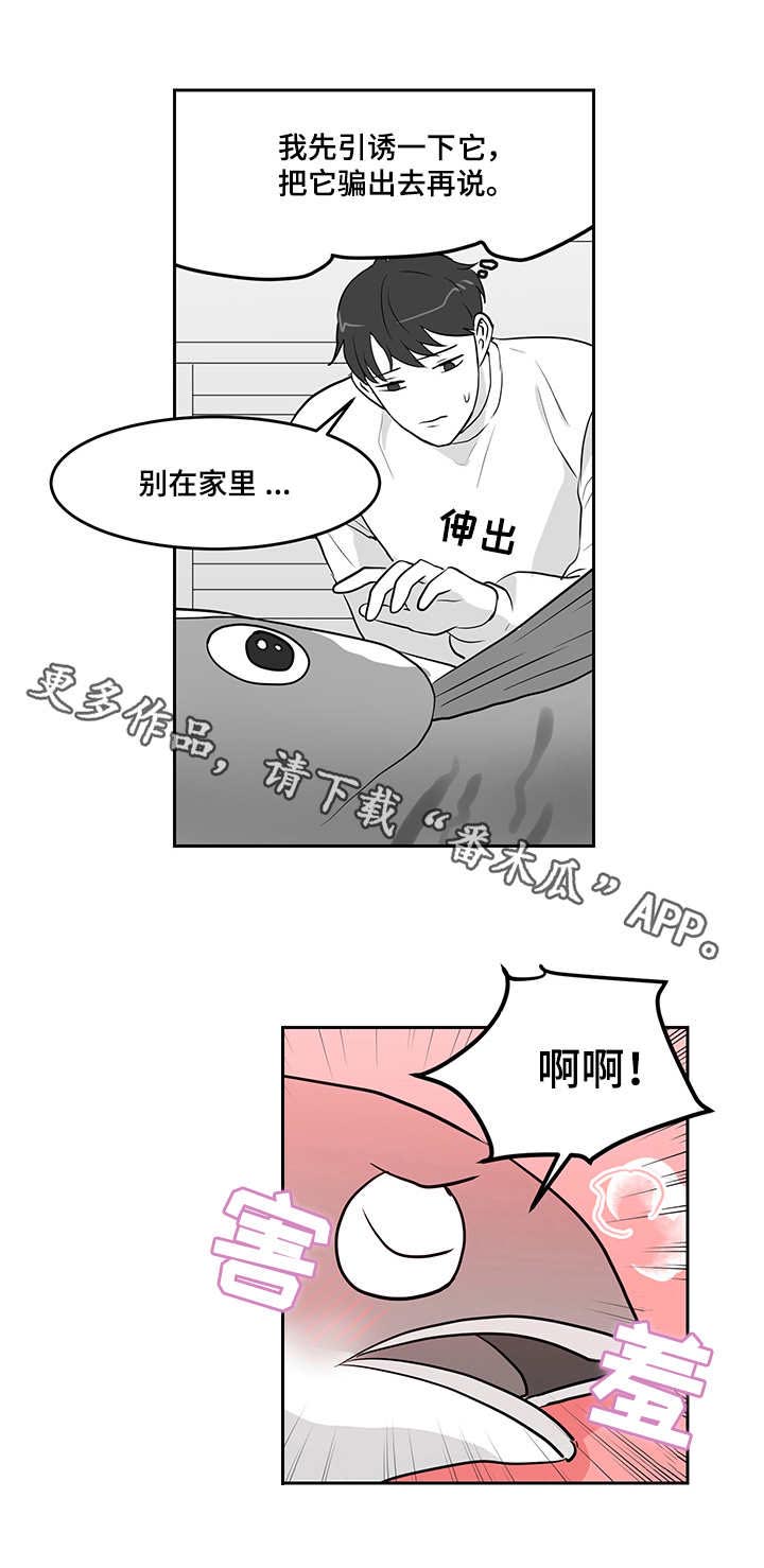 《六合一》漫画最新章节第14章：青花鱼免费下拉式在线观看章节第【1】张图片