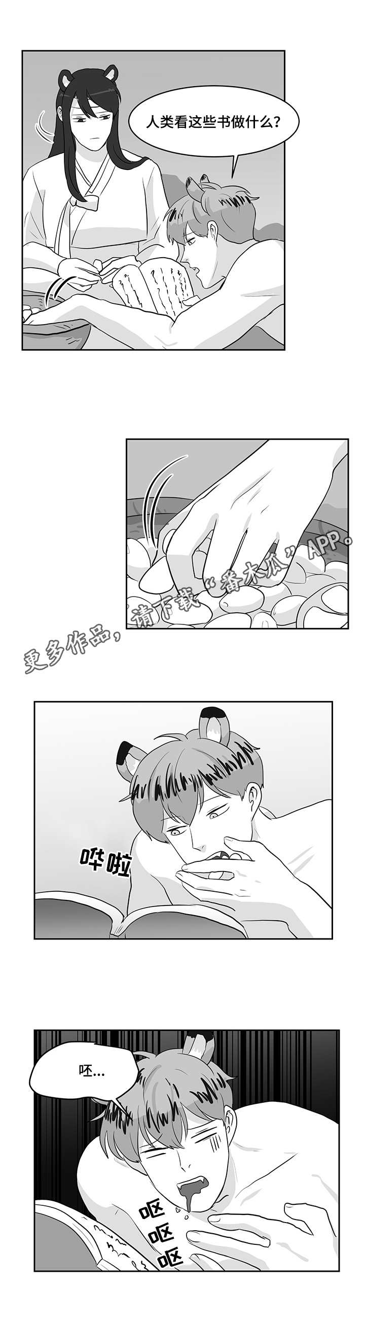 《六合一》漫画最新章节第22章：熊与虎免费下拉式在线观看章节第【2】张图片