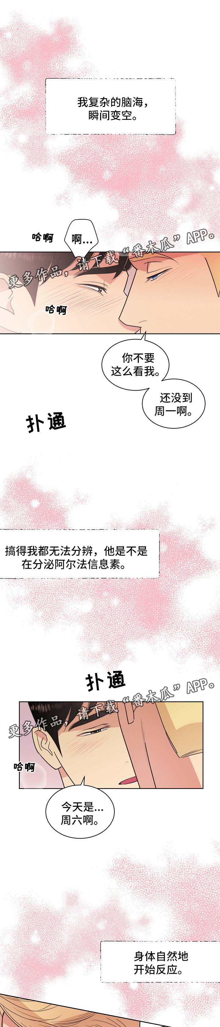 《保护条约》漫画最新章节第43章：不能被发现免费下拉式在线观看章节第【16】张图片