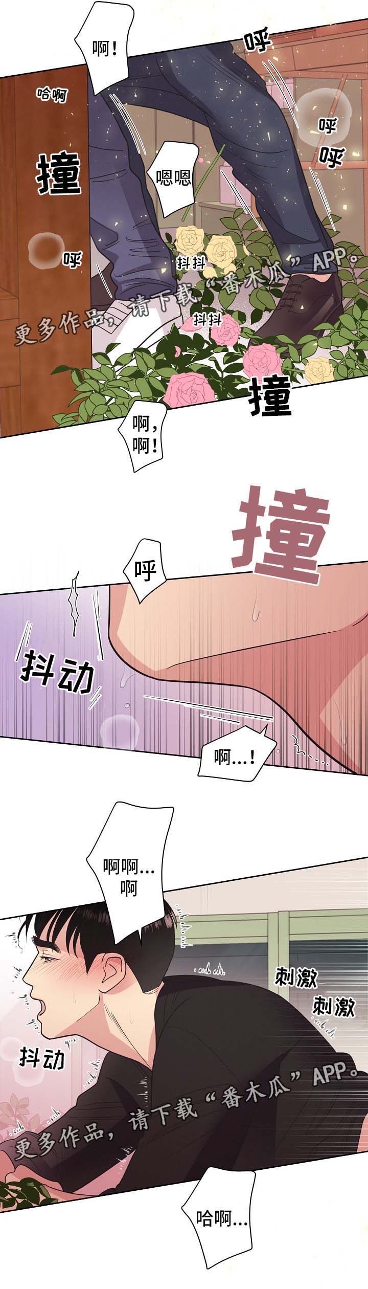 《保护条约》漫画最新章节第43章：不能被发现免费下拉式在线观看章节第【11】张图片