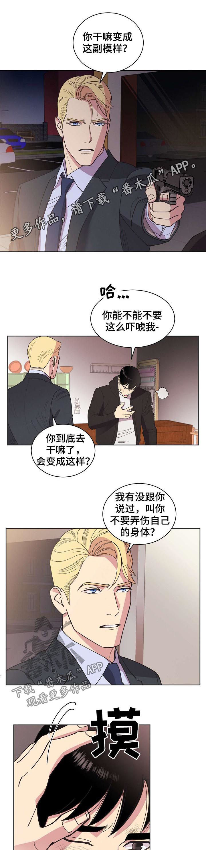 【保护条约】漫画-（第52章：【第二季】撞车）章节漫画下拉式图片-1.jpg