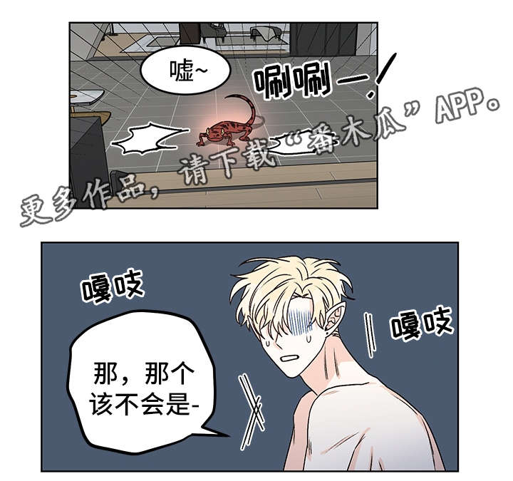 《龙的刻印》漫画最新章节第40章：吸血免费下拉式在线观看章节第【3】张图片