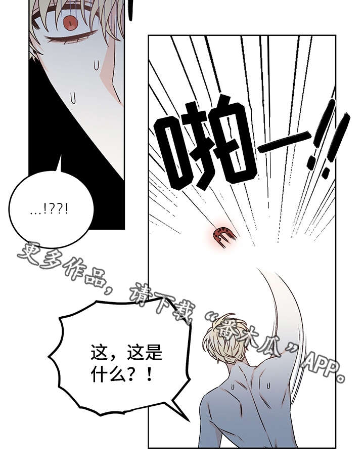 《龙的刻印》漫画最新章节第40章：吸血免费下拉式在线观看章节第【4】张图片