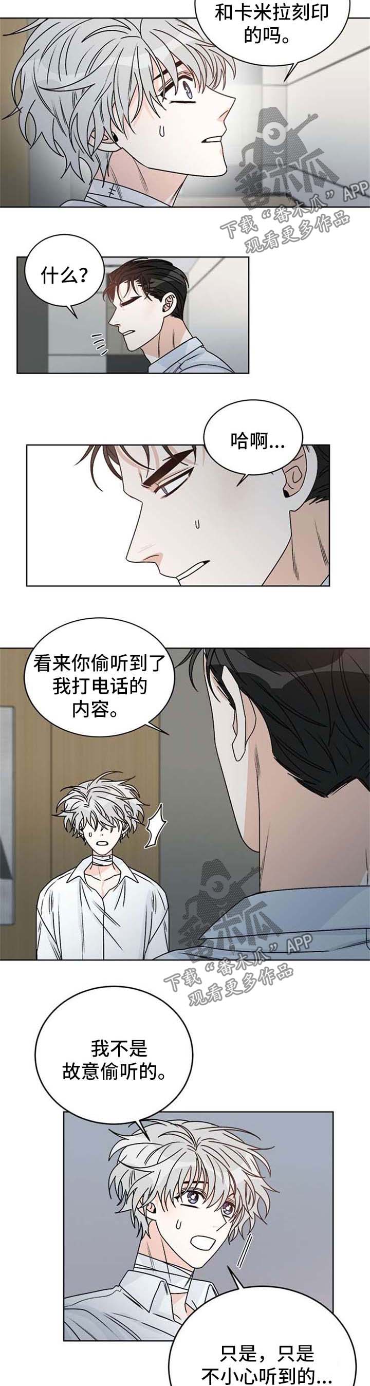 《龙的刻印》漫画最新章节第51章：可能会后悔的决定免费下拉式在线观看章节第【9】张图片