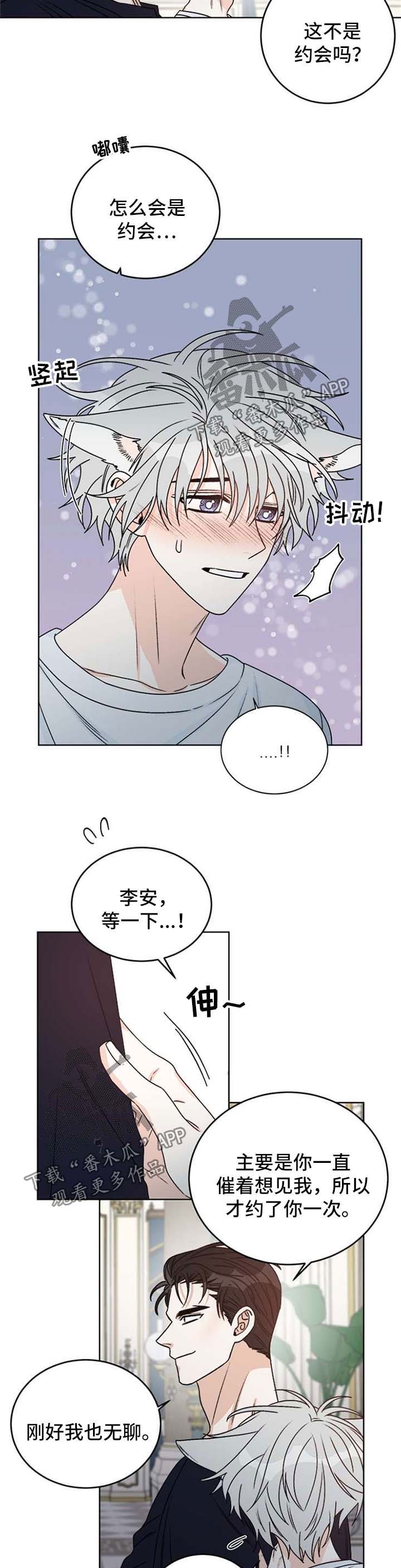 《龙的刻印》漫画最新章节第52章：不想再看见你免费下拉式在线观看章节第【3】张图片