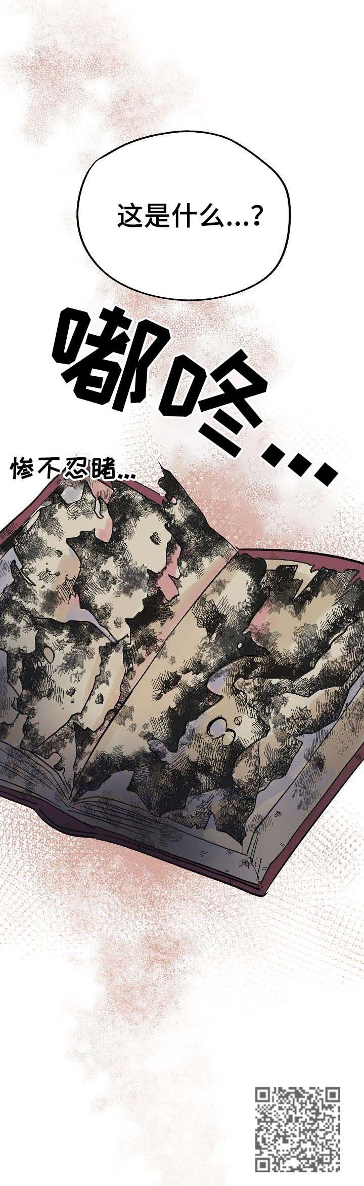 《双重记忆》漫画最新章节第37章：书免费下拉式在线观看章节第【1】张图片