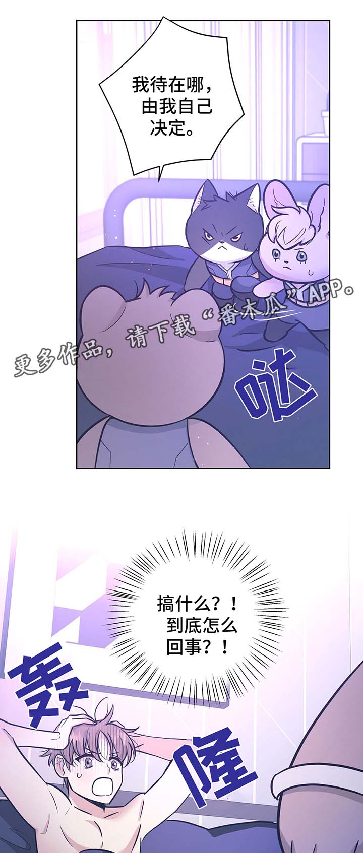 《逃婚王子》漫画最新章节第31章：结婚免费下拉式在线观看章节第【11】张图片