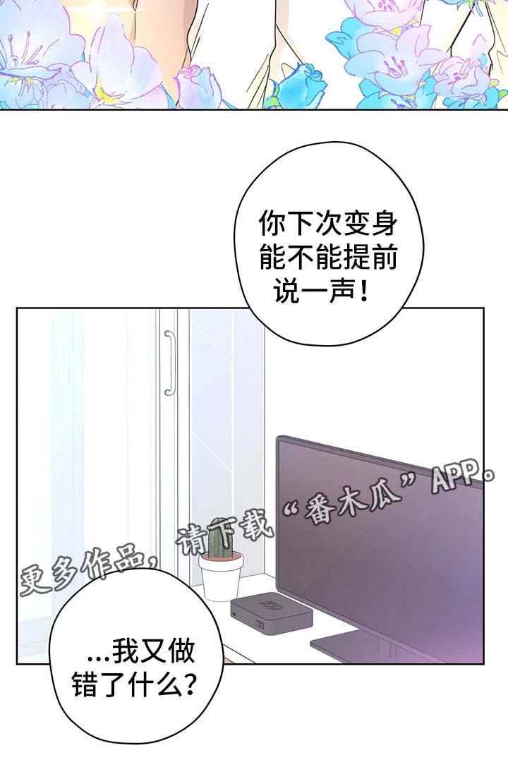 《逃婚王子》漫画最新章节第33章：传达消息免费下拉式在线观看章节第【1】张图片