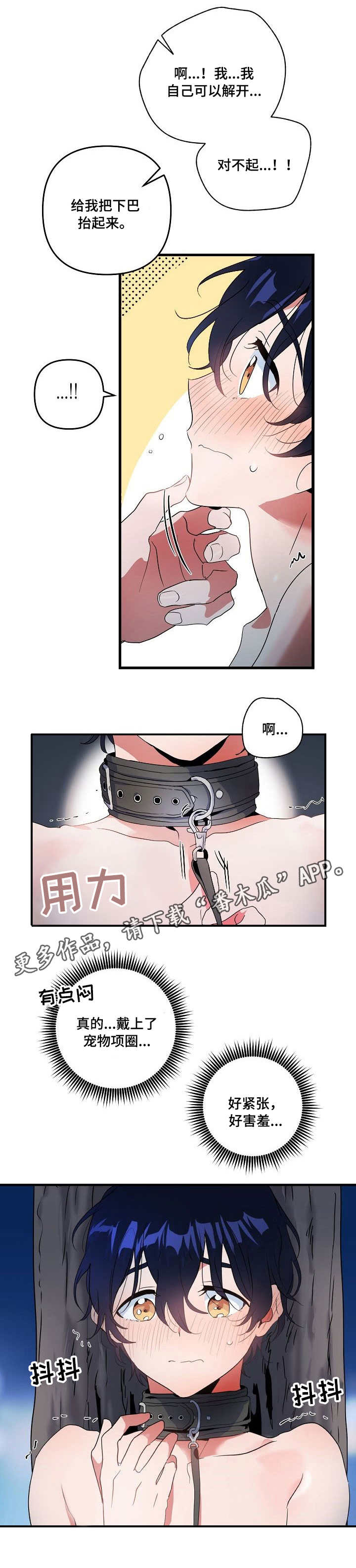 《顺从》漫画最新章节第16章：项圈免费下拉式在线观看章节第【1】张图片