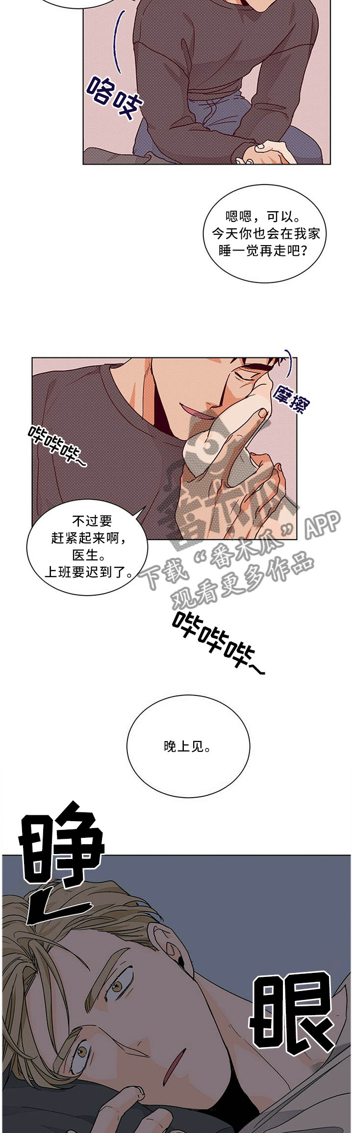 《我的医生》漫画最新章节第77章：故事的终章免费下拉式在线观看章节第【3】张图片