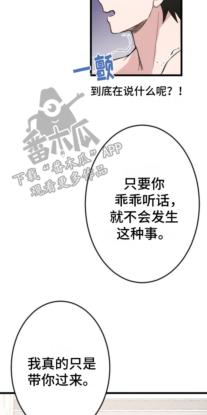 《疯狂之旅》漫画最新章节第5章：求饶免费下拉式在线观看章节第【7】张图片