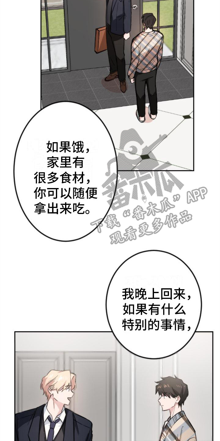 《疯狂之旅》漫画最新章节第6章：准备吃的免费下拉式在线观看章节第【4】张图片