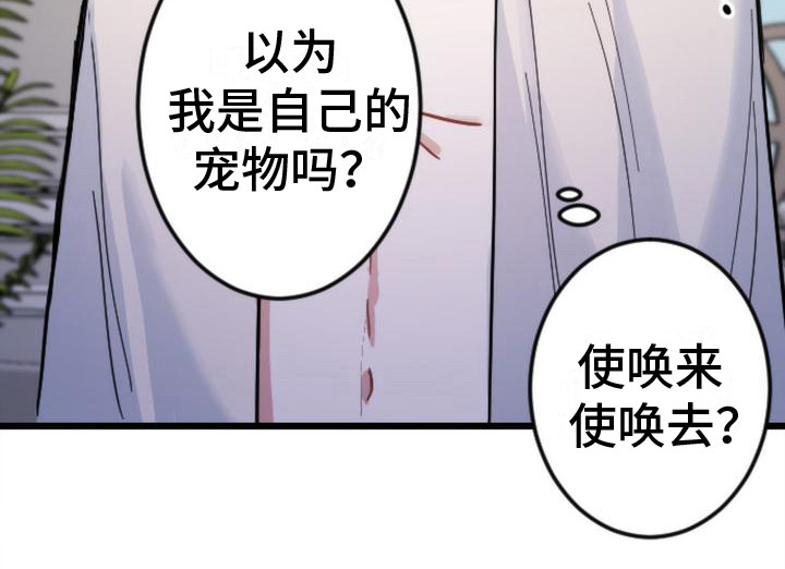 《疯狂之旅》漫画最新章节第19章：很极端免费下拉式在线观看章节第【1】张图片