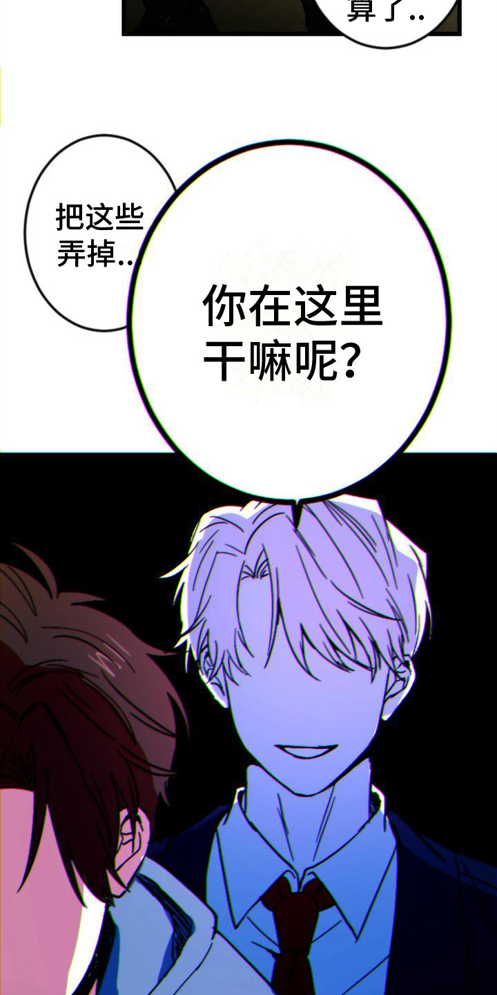 《疯狂之旅》漫画最新章节第23章：跟踪免费下拉式在线观看章节第【6】张图片