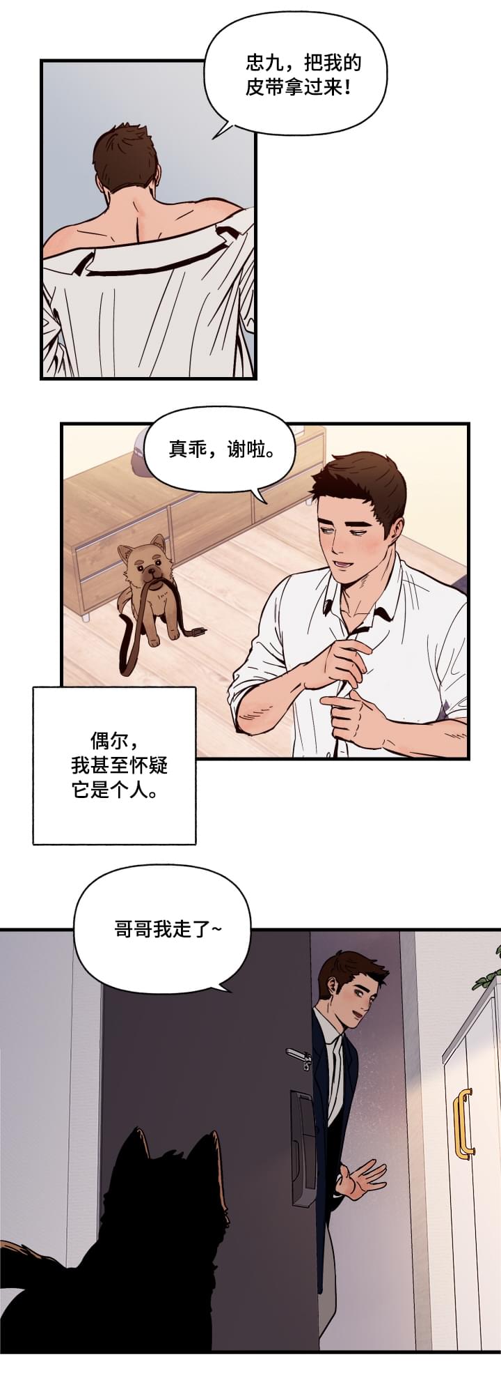 《爱宠攻略》漫画最新章节第1章：袭击免费下拉式在线观看章节第【10】张图片