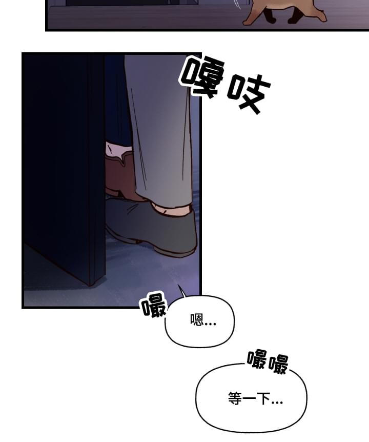 《爱宠攻略》漫画最新章节第1章：袭击免费下拉式在线观看章节第【8】张图片