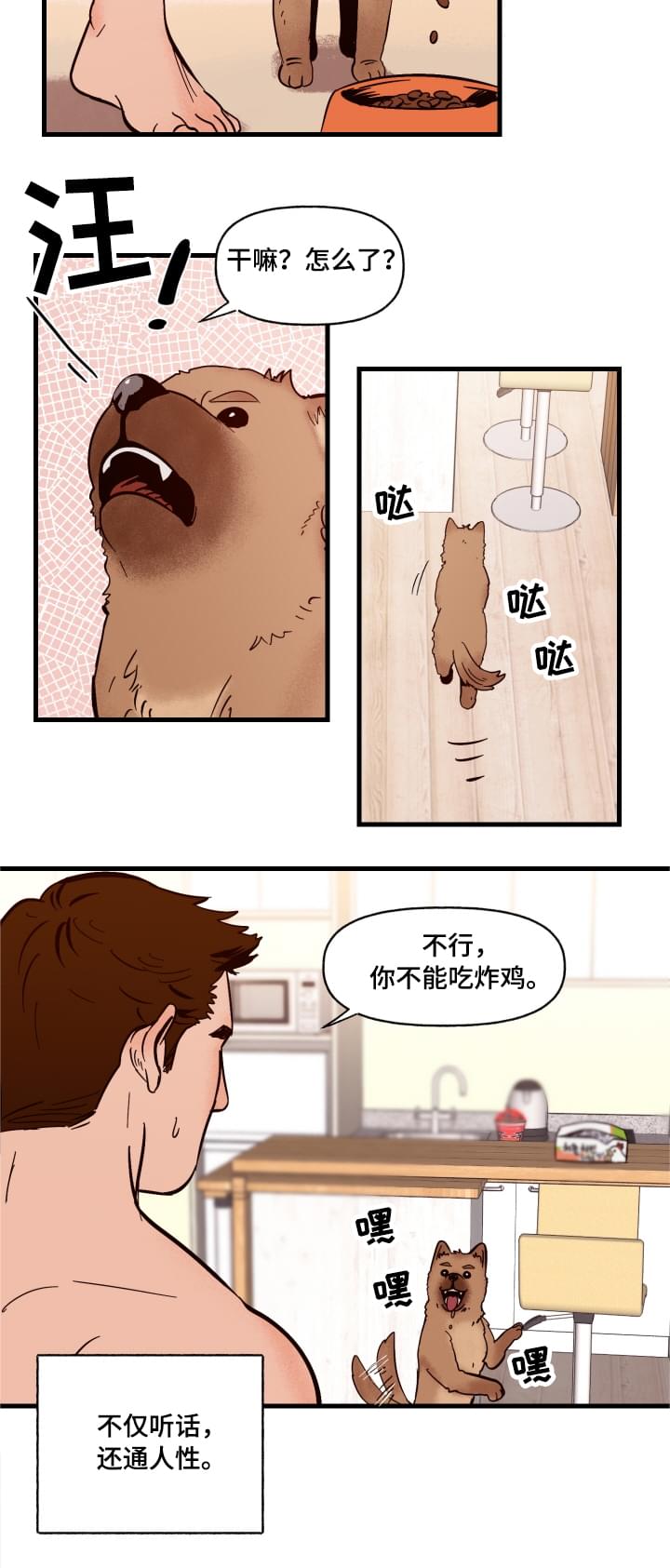 《爱宠攻略》漫画最新章节第1章：袭击免费下拉式在线观看章节第【11】张图片