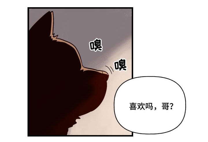 《爱宠攻略》漫画最新章节第1章：袭击免费下拉式在线观看章节第【4】张图片