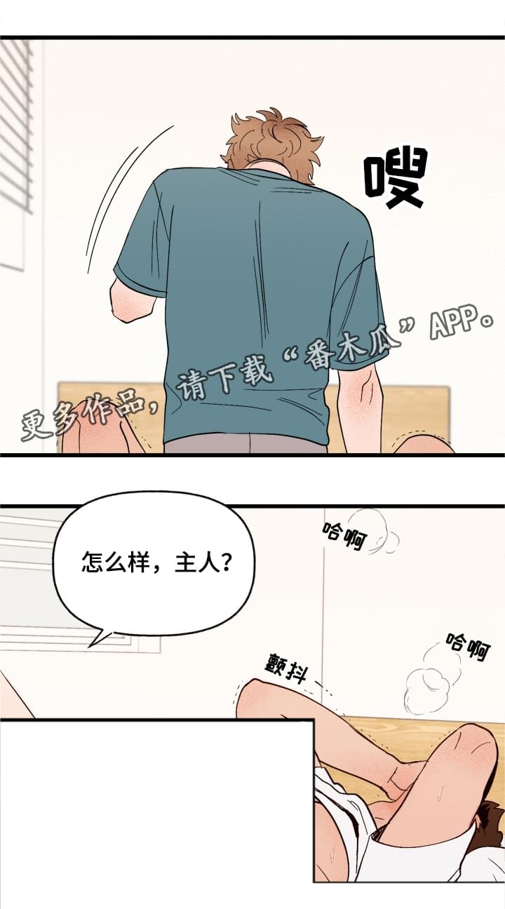 《爱宠攻略》漫画最新章节第4章：你的主人免费下拉式在线观看章节第【9】张图片