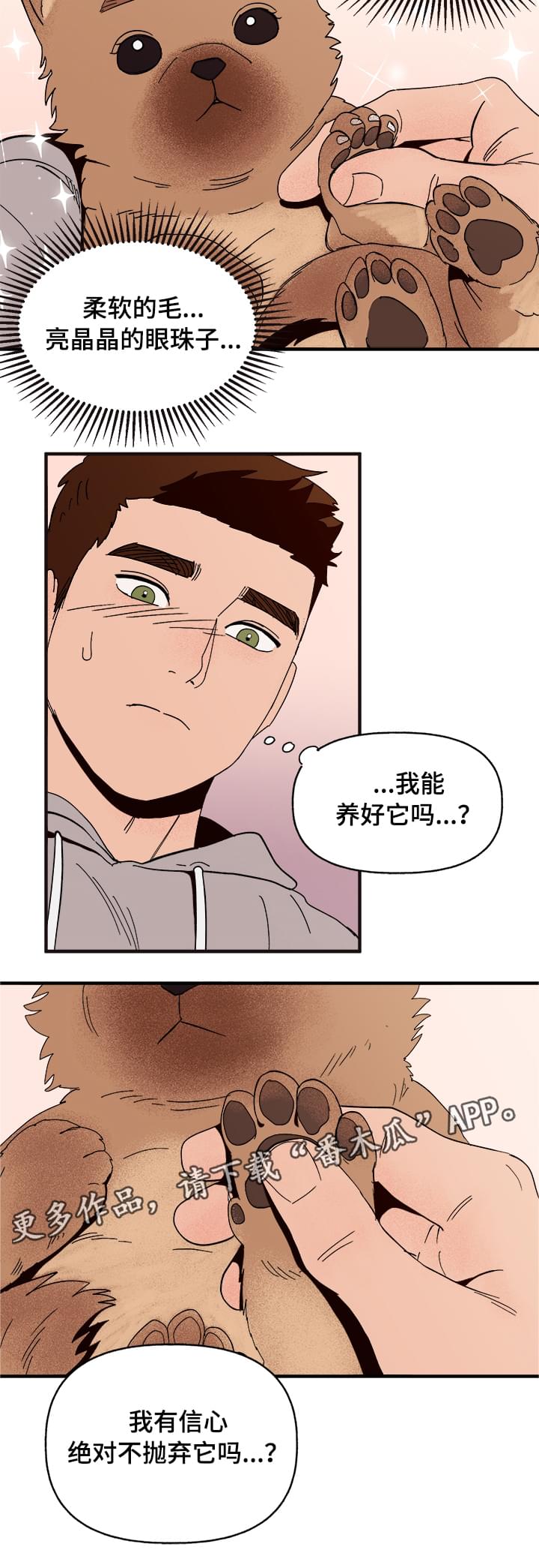 《爱宠攻略》漫画最新章节第6章：惩罚免费下拉式在线观看章节第【11】张图片