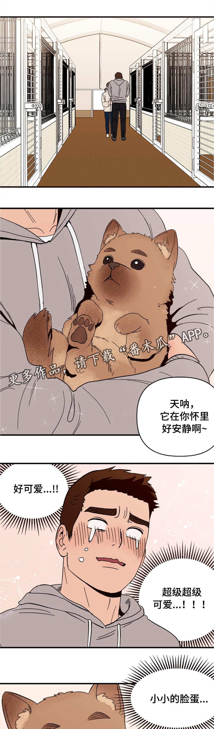 《爱宠攻略》漫画最新章节第6章：惩罚免费下拉式在线观看章节第【12】张图片