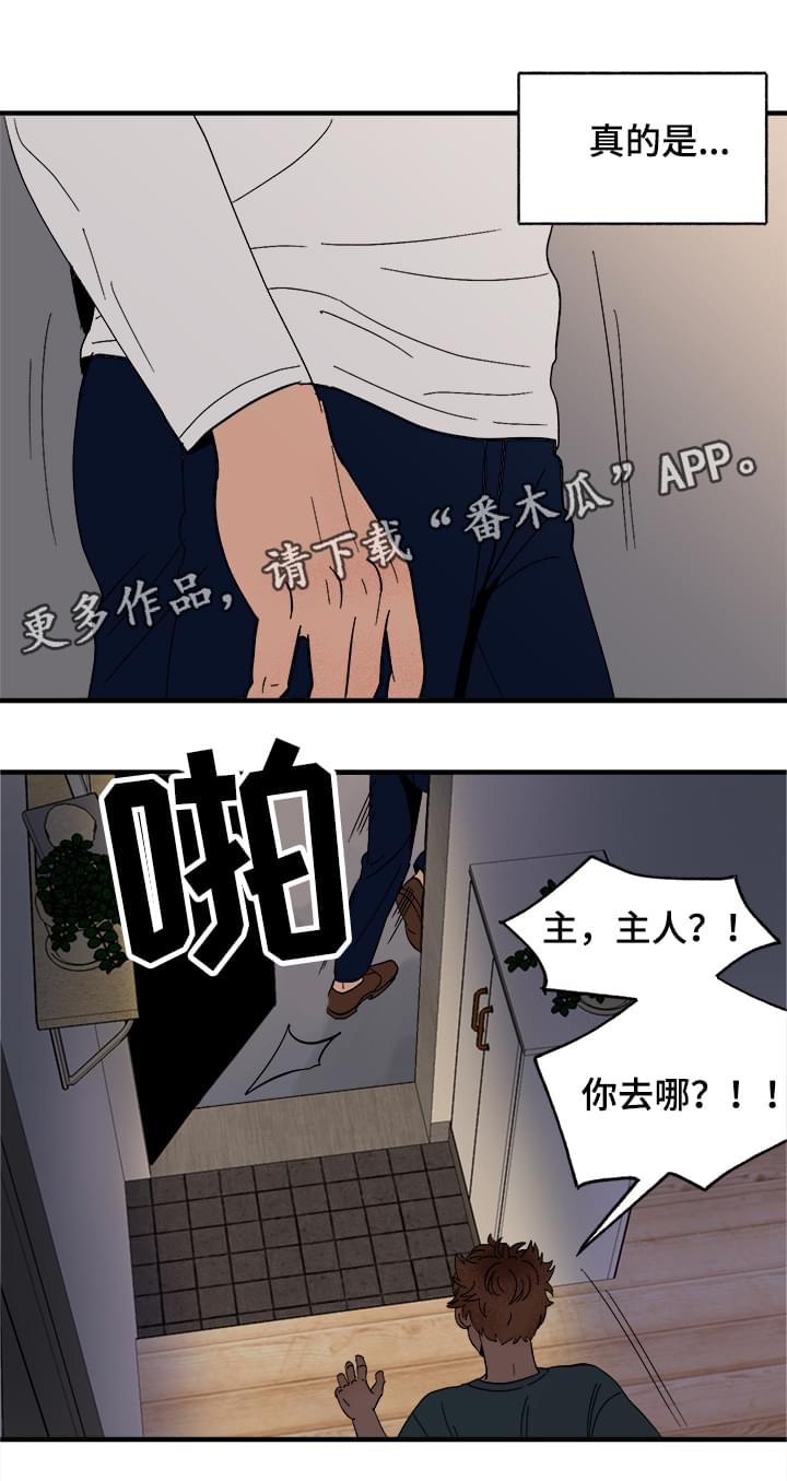 《爱宠攻略》漫画最新章节第6章：惩罚免费下拉式在线观看章节第【5】张图片