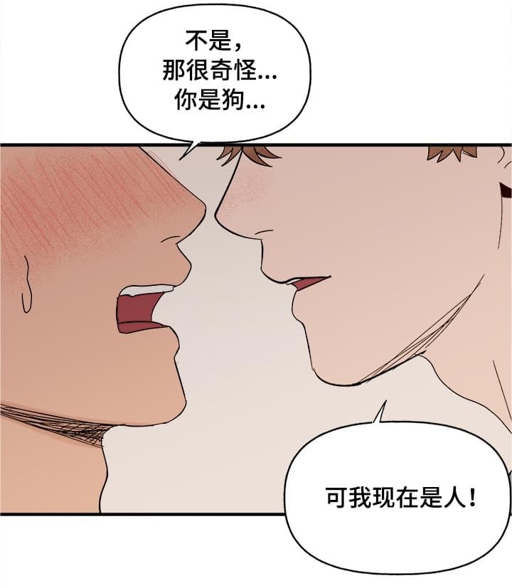 《爱宠攻略》漫画最新章节第8章：我是人免费下拉式在线观看章节第【1】张图片