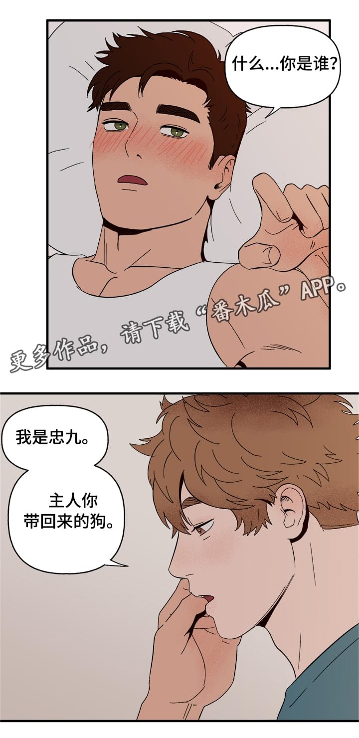 《爱宠攻略》漫画最新章节第8章：我是人免费下拉式在线观看章节第【9】张图片