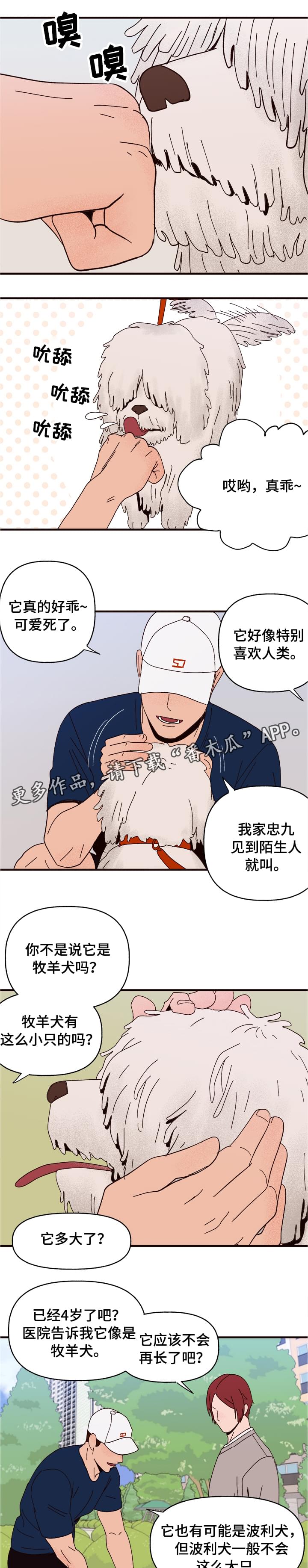 《爱宠攻略》漫画最新章节第10章：谎言免费下拉式在线观看章节第【14】张图片