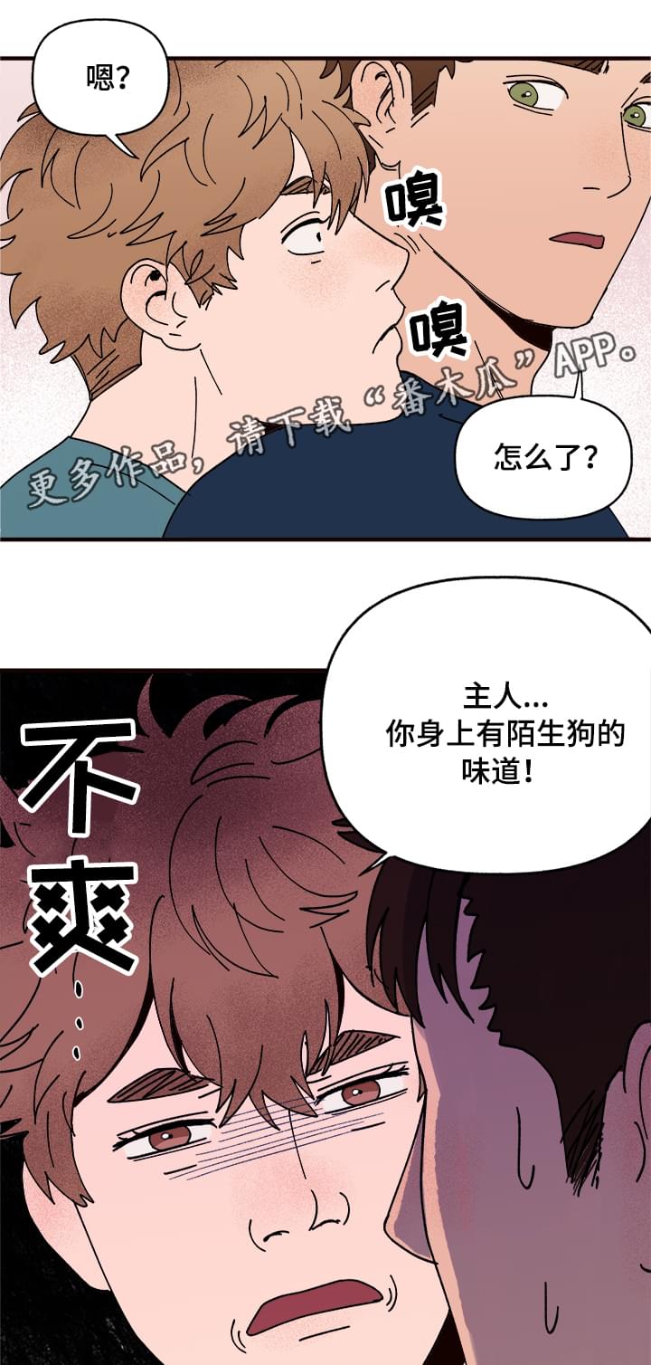 《爱宠攻略》漫画最新章节第10章：谎言免费下拉式在线观看章节第【6】张图片