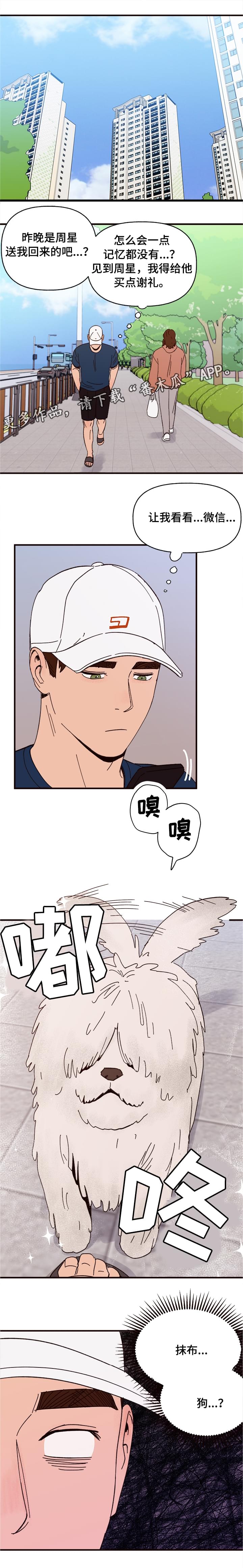 《爱宠攻略》漫画最新章节第10章：谎言免费下拉式在线观看章节第【19】张图片