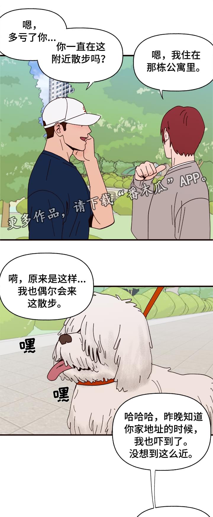 《爱宠攻略》漫画最新章节第10章：谎言免费下拉式在线观看章节第【16】张图片