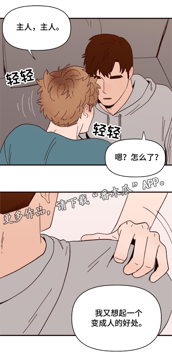 《爱宠攻略》漫画最新章节第11章：测试一下免费下拉式在线观看章节第【2】张图片