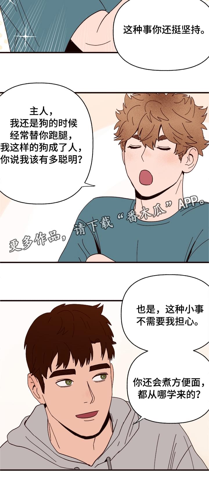 《爱宠攻略》漫画最新章节第11章：测试一下免费下拉式在线观看章节第【7】张图片