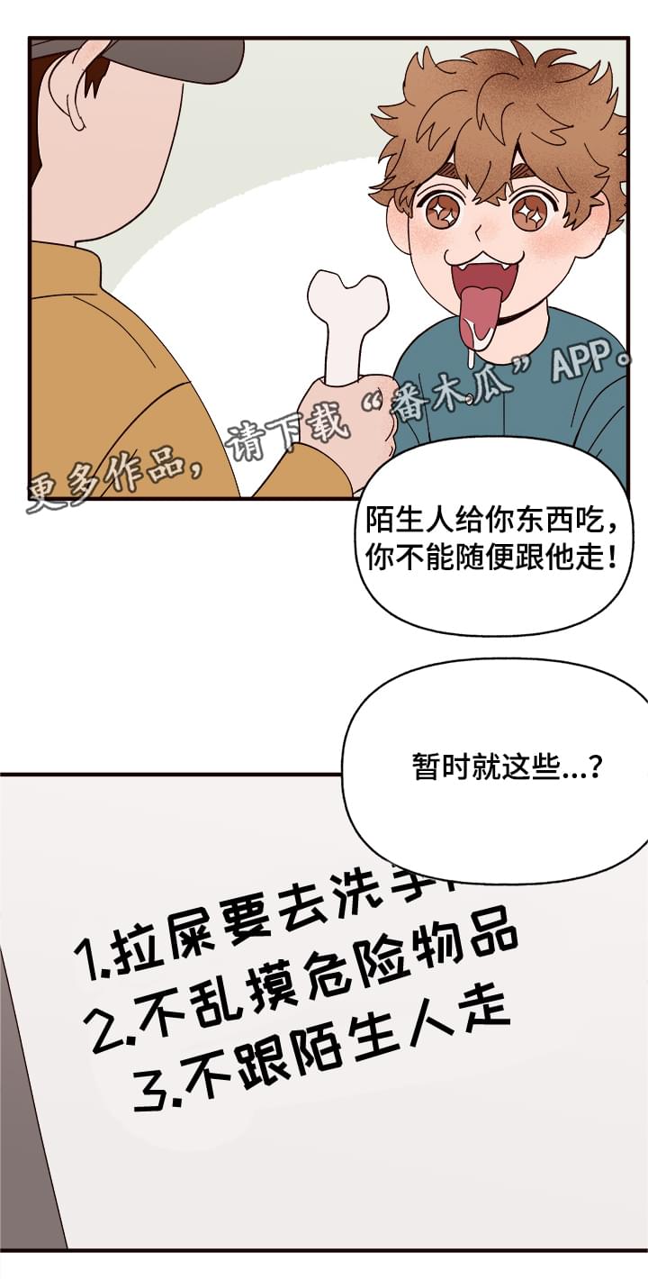 《爱宠攻略》漫画最新章节第11章：测试一下免费下拉式在线观看章节第【9】张图片